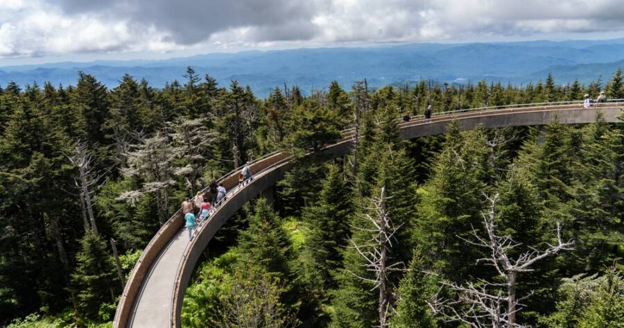 Best National Parks in the U.S. for First-Time Visitors